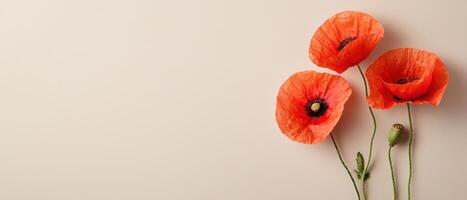 Poppy flowers in nature background close-up view artistic floral still life soft ambient lighting photo