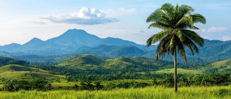 Majestic landscape with palm tree and mountains tropical nature background scenic viewpoint vibrant environment photo
