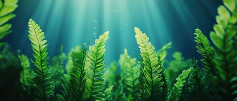 Underwater ferns in nature background vibrant green plants aquatic environment serene viewpoint photo