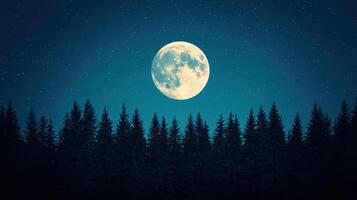 Moonlit night forest landscape nature scene starry sky background tranquil environment serene viewpoint photo