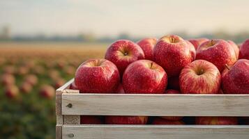 Harvesting fresh apples in nature's background scenic farm landscape vibrant outdoor setting photo