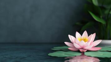 Lotus flower blooming on water surface in nature background serene scene close-up viewpoint photo