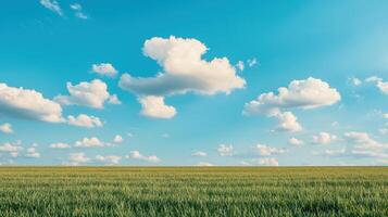 Nature background with clouds over grassland serene atmosphere photo