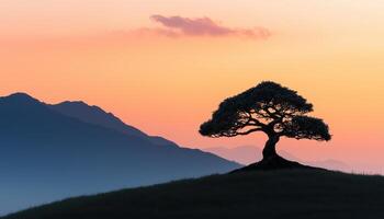 Majestic tree silhouette at sunset nature background landscape view photo