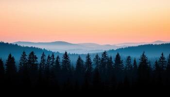 Nature landscape background with copyspace at dusk tranquil environment photo