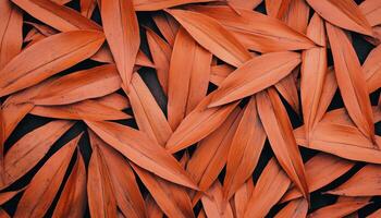 Autumn leaves close-up nature background copyspace earthy environment natural viewpoint photo