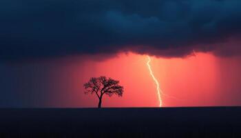 Dramatic Lightning Strike Illuminates Tree Silhouette in Nature Background Copyspace Environment photo