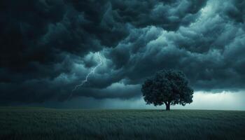 Stormy Landscape with Isolated Tree Nature Background Dark Clouds Open Field Copyspace for Text photo