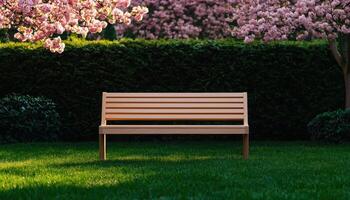 Serene Garden Scene Cherry Blossom Background Bench Copyspace Nature Tranquility photo
