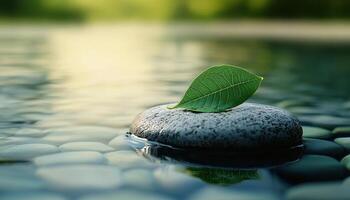 Tranquil Water Stone with Leaf Nature Background Peaceful Environment Copyspace for Reflection photo
