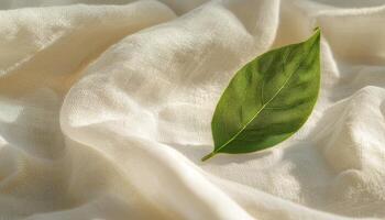 Nature Leaf on Soft Fabric Background with Copyspace for Creative Designs photo