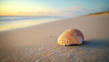 Serene Beach Scene with Seashell Coastal Background Copyspace for Nature Lovers photo