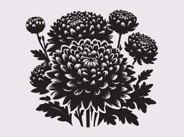 Floral Chrysanthemums Silhouette for Creative Design and Illustration vector
