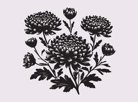 Graceful Chrysanthemums Silhouette for Nature-Inspired Artworks vector