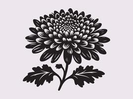 Hand-Drawn Chrysanthemums Silhouette for Artistic and Creative Uses vector