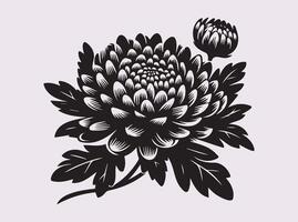 Stunning Chrysanthemums Silhouette for Invitations and Greeting Cards vector
