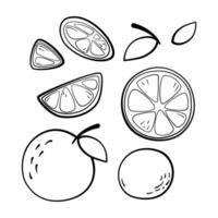 Eight elements Orange outline set. Doodle hand drawn cartoon style. illustration for decorate and any design. vector