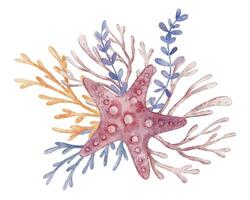 Watercolor illustration of a Starfish with corals, seaweed, and bubbles. Art of sea star for marine designs or childish posters. Drawing of nautical element for baby invitations or greeting cards. vector