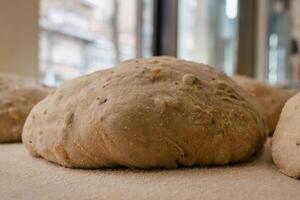 Loaf-shaped bread dough on the table photo
