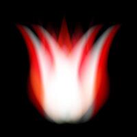 Glowing flames with burning sparks illuminating the night with fiery warmth and wild energy. vector