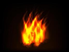 Fire flames and glowing sparks burn intensely in a mesmerizing and powerful heat display vector