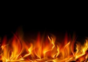 high quality image of realistic fire flames rising from the bottom against a dark background vector