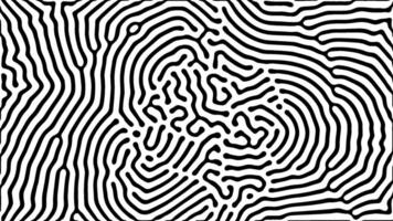 Radiating optical art with black and white lines vector