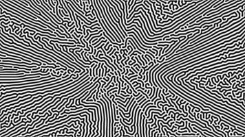 Dense abstract pattern with black flowing lines vector