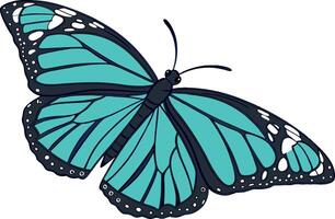 butterfly in vibrant teal and black with symmetrical wing patterns, perfect for spring and summer visuals vector