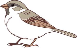 Collection of charming illustrated small birds with distinct coloring, simple lines, and rounded bodies, on white backgrounds vector