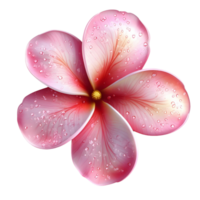 Soft pastel plumeria bloom in 3D digital art png