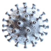 Spherical virus structure in 3D featuring intricate surface details and spikes png