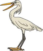 cartoon egret bird comic wild animal character vector