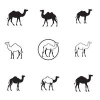 Camels in the desert set of icons vector