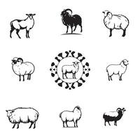 Sheep icons set vector