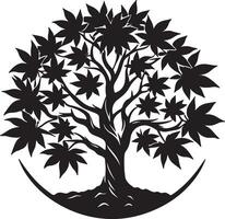 black and white image of a tree with leaves vector