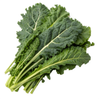 Top view of Ethiopian kale, isolated on a transparent background png