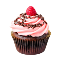 cupcake with chocolate frosting and raspberry on top png