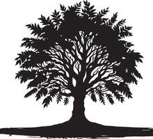 silhouette of a tree with leaves vector