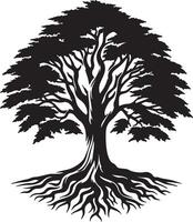 an illustration of a tree with roots vector