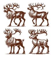 Rein Deer silhouette design set vector