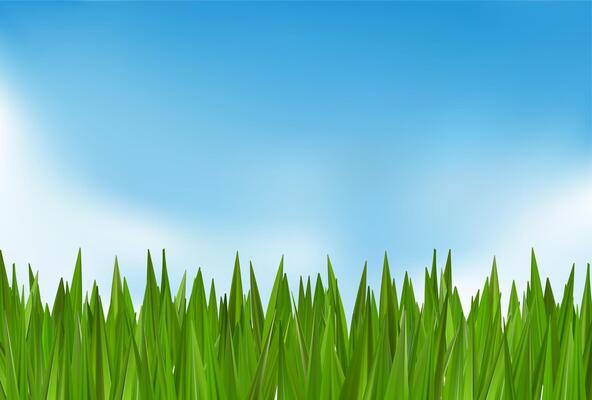 Green grass tuft bush on cloudy sky sunrise. 3d header texture. Blue Easter border. football field park, turf hill layout. Spring reed lawn landscape with sunny transparent fresh air