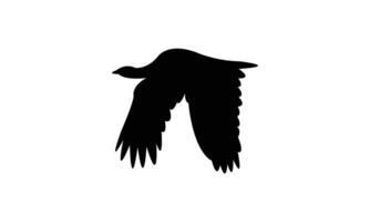 Flying African houbara bird Silhouette vector