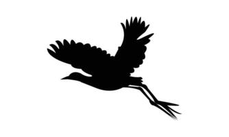 Flying African jacana black Silhouette Design And Illustration. vector