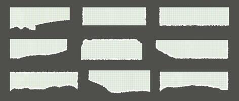 A kit of pieces of torn chequered paper from a maths notebook. Uneven torn edges. Templates of strips for collages. vector