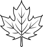 Maple Leaf Outline - Simple Black Line Drawing vector