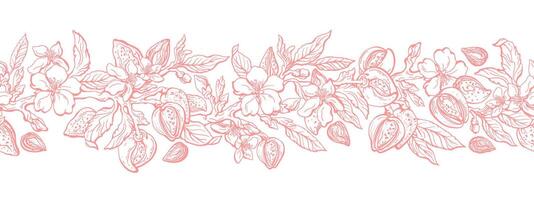 Almond tree, nuts. Floral texture frieze, pattern vector