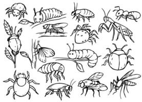 Set of insect pests. Sketch style. vector