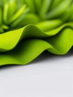 Vibrant green succulent leaves softly curve upward creating a serene textured scene photo