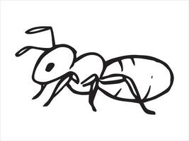 Insect ant. Illustration in sketch style. vector